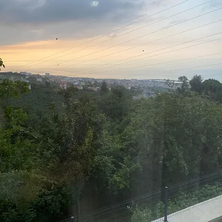 Deniz , Kiraz